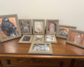 Disabled Owls Of WSU Animal Rehabilitation Center
