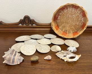 Sand Dollars And Shells In Basket