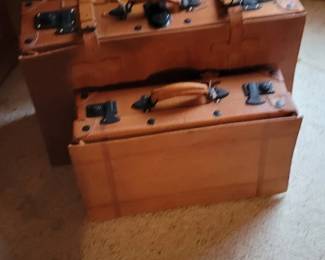 Leather Luggage