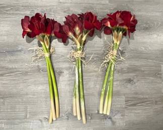 Artificial Red Amaryllis Floral Bundles Set of 