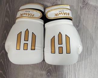 Hawk B Boxing Gloves White or Gold  oz