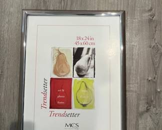 MCS Trendsetter x Poster Frame