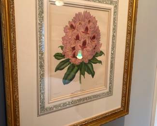 Botanical print