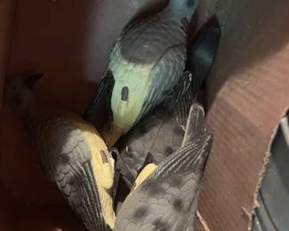 Hunting decoys