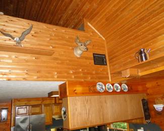 Eagle, Mount, and a plate with some plate racks