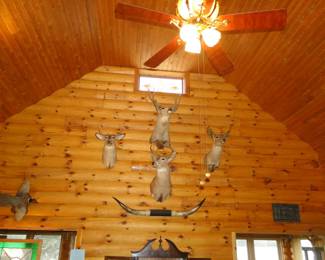 Mounts!  Large, medium and small