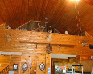 Large mounts