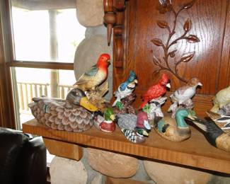 Ducks and more