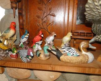 A nice collection of birds