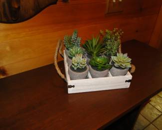 Faux plants, all nicely lined up!