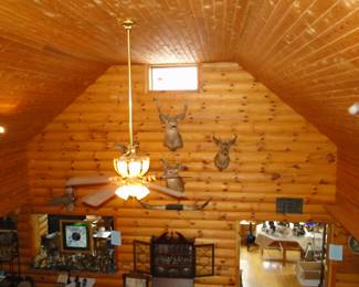 Deer Mounts