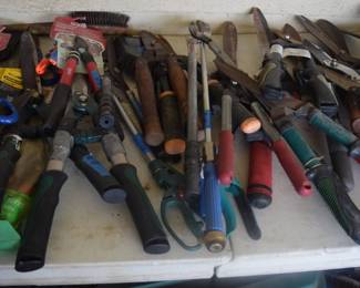 Clippers, Clippers and More Clippers!