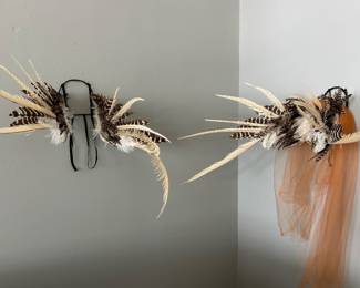 Wings
