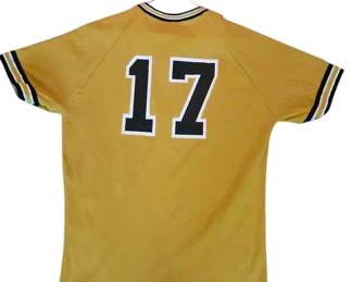 #17 R.E. Lee Jersey