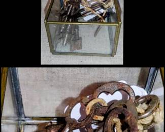 Small glass case with skeletons keys