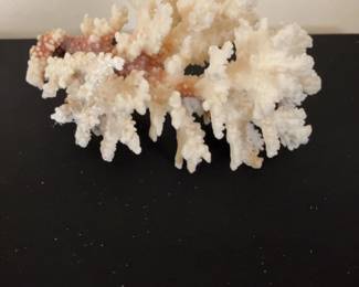 Natural White Decorative Coral Specimen