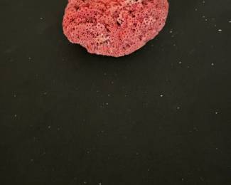 Small Red Pipe Organ Coral