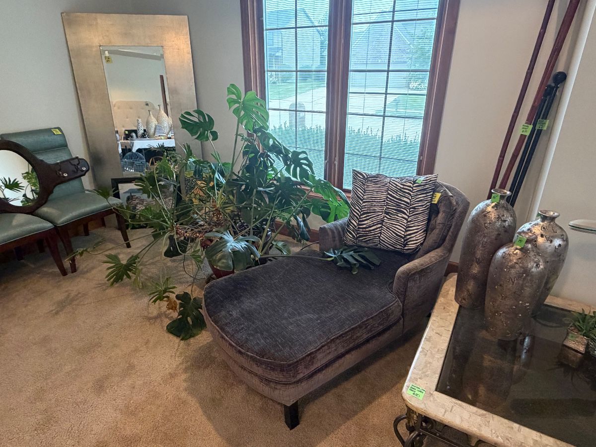 DUNE lounge chair, marble/glass coffee table, large wall mirror, home decor, large potted plant
