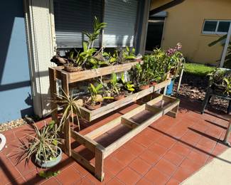 Orchid stand
