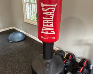 Everlast sanding punching bag