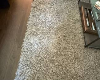 Shag rug