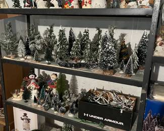 bottle brush trees, all shapes and sizes
