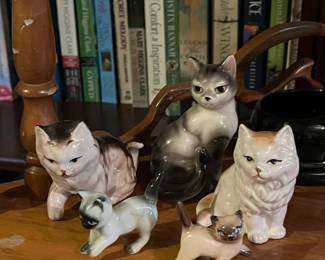 more kitten stuff