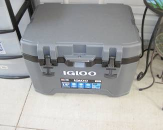 Igloo Cooler