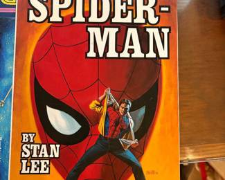 Spider Man
