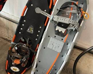 181 Snowshoe Selection