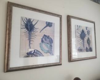 Sealife framed art