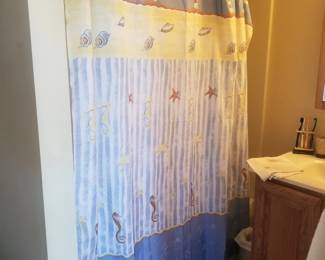 Shower curtain
