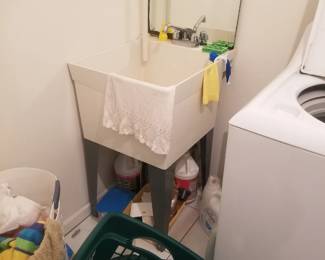Laundry sink