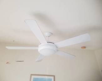 Lighted ceiling fan