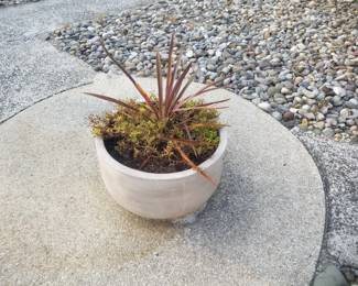 Pot