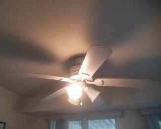 Lighted ceiling fan