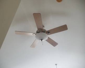 Lighted ceiling fan