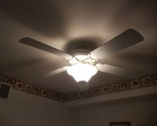 Lighted ceiling fan