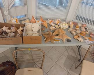 Shells