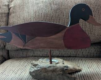 Duck on Rock 2