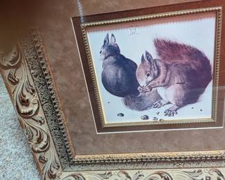 *Squirrel framed picture