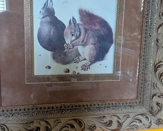 SquirrelsFrame