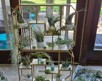 Gold Glass Shelves