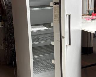 GE Freezer