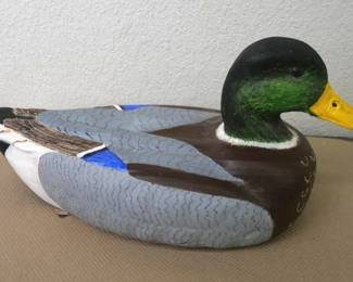duck