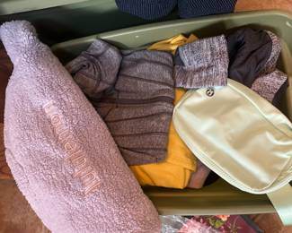 Lululemon and Athleta