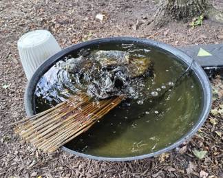 Biggest birdbath EVER 