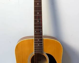 Greg Bennett GD50PK Acoustic Guitar