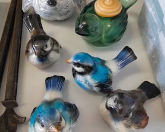 Birds