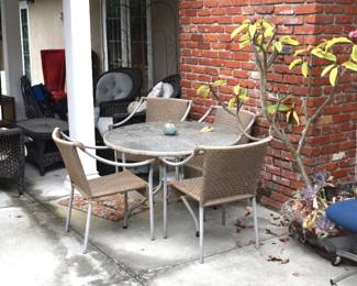 Back Patio Overview